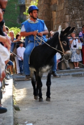 bagnoregio_DSC_7538.JPG