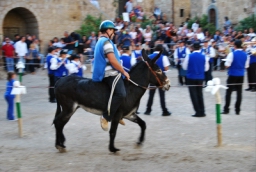 bagnoregio_DSC_7586.JPG