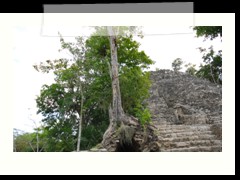 coba_080