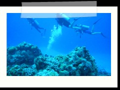 messico_diving_0838