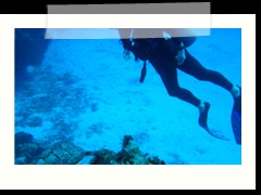 messico_diving_0842