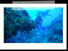 messico_diving_0866