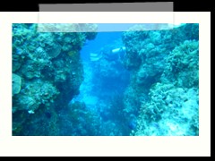 messico_diving_0899