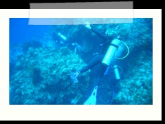 messico_diving_0900