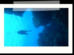 messico_diving_0902