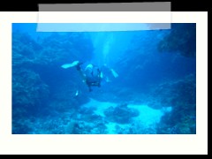 messico_diving_0905