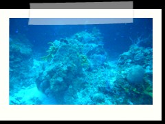 messico_diving_0906