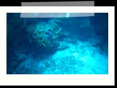 messico_diving_0917