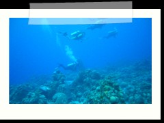 messico_diving_0928