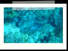 messico_diving_0930