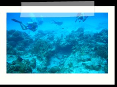 messico_diving_0931