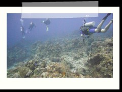 messico_diving_0941