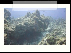 messico_diving_0953