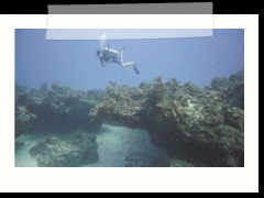 messico_diving_0954