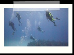 messico_diving_0959