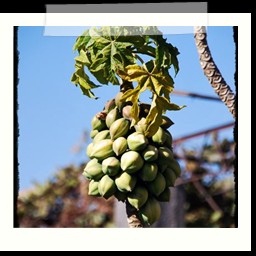 arequipa_015