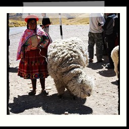 cusco_puno_051