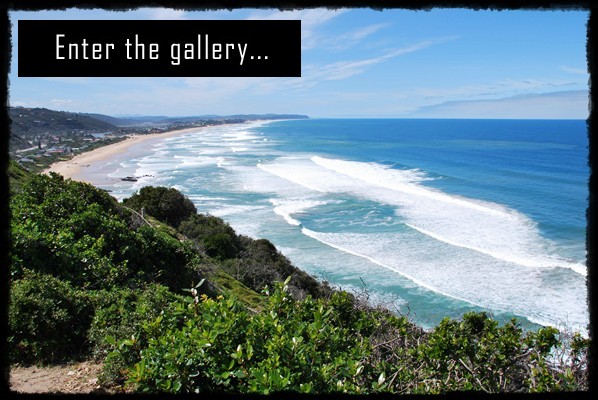 Garden Route, Knysna, Wilderness, George, Mossel Bay, Western Cape