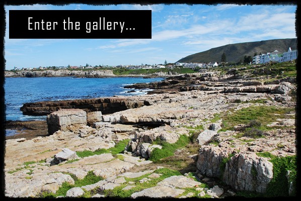 Hermanus, Whale Festival, Cape Town, West Coast National Park, laguna, wydmy